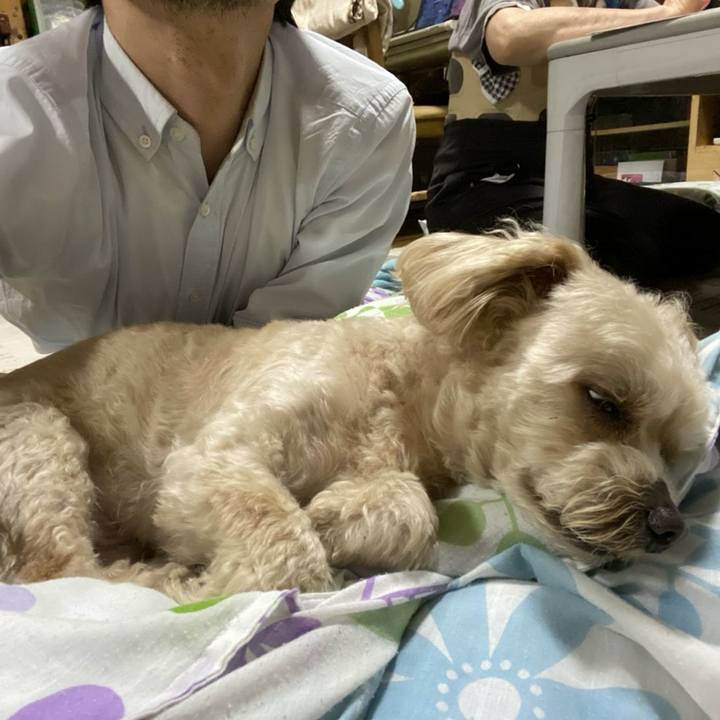 24daae2a ea5f 486a 9d64 9ed857a75a2d 1622808286660