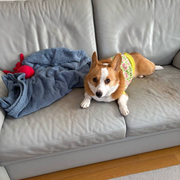 24daaf26 2978 47eb 8832 a1331e971e8c 1769822453190