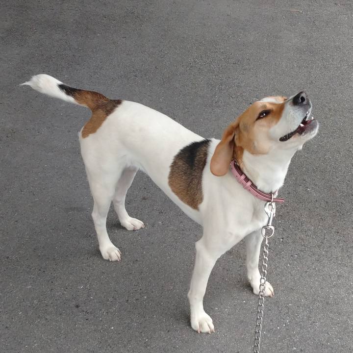 24dafbe1 6d95 42b0 b3f2 b86a6d942e23 1591171268102