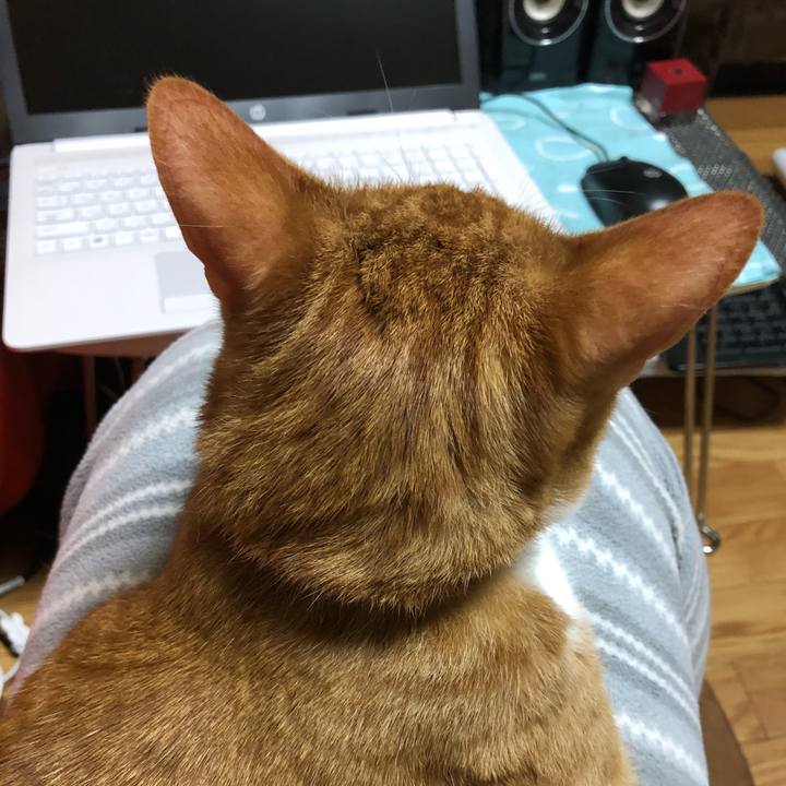 24db1511 f1a1 4425 a434 38e0a5d25fa4 1554881278812