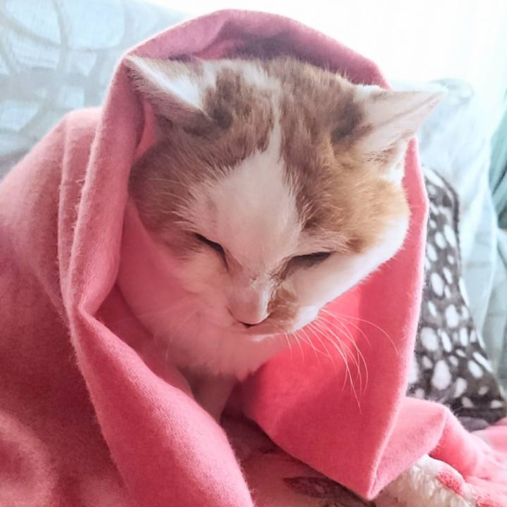 24db31ac 5467 4b22 9065 bc56b6fe7e54 1738416875654