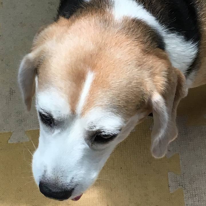 24db4736 874e 4623 acb5 a5c008bb9d7c 1755037503832