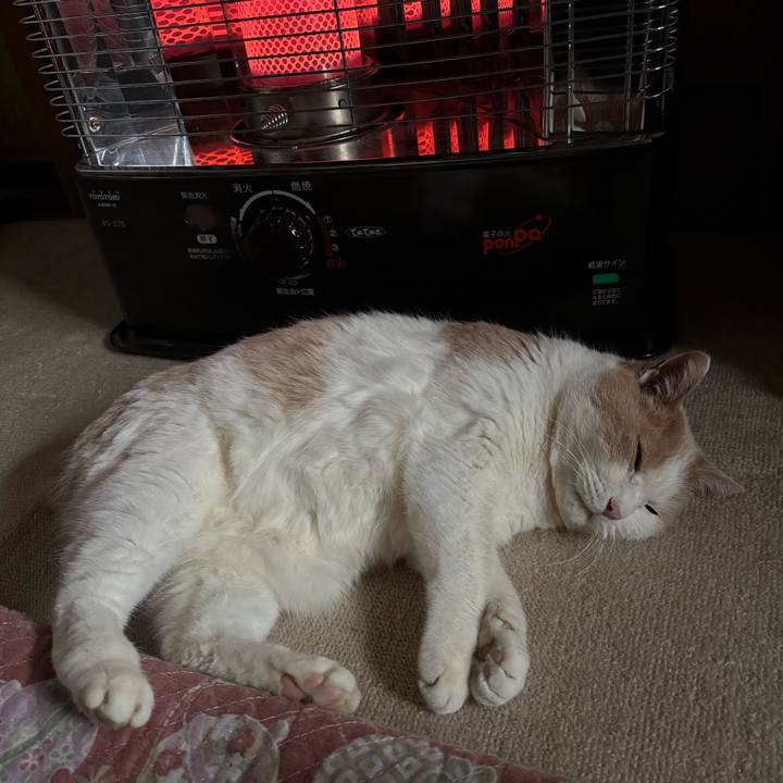 24db4e62 2ca4 40ad b875 c73833bbb52e 1768632451392