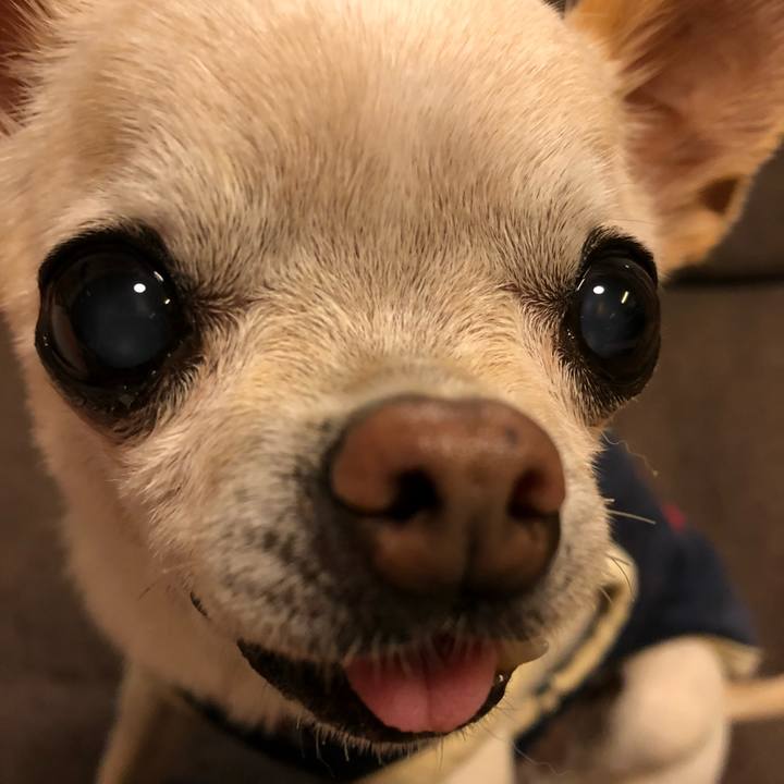 24db53a7 d5d1 437e 980a d40ac6c89915 1774090132559