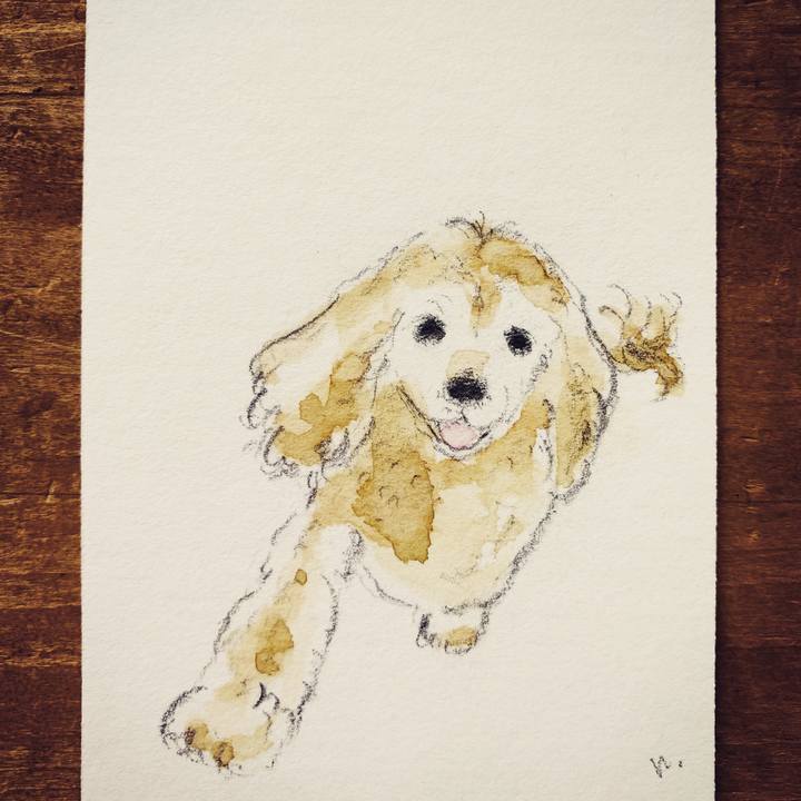 24db689f 90f7 4c3a 82fb 1cb822fbf699 1613867506256