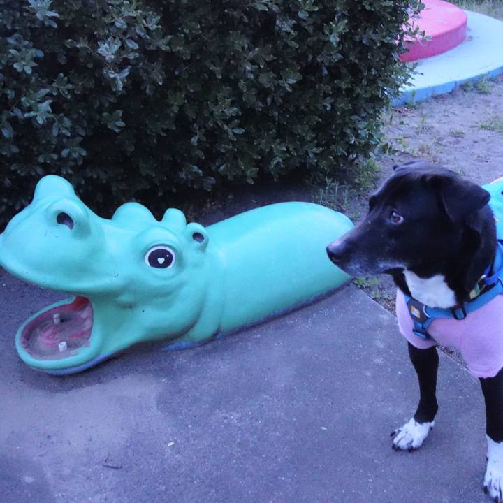 24db82b0 9368 49e5 8aa9 d0418bb1b657 1683199375519