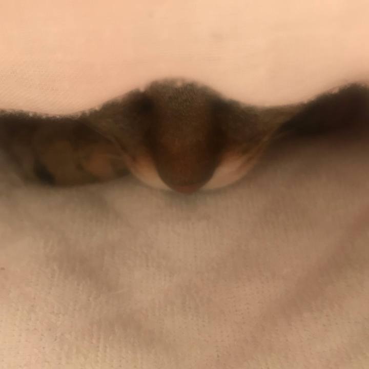 24dba55d b7f0 4664 b486 8b740afb1d89 1591137274583