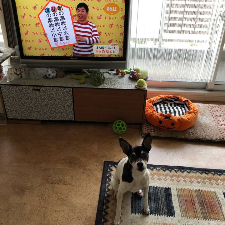 24dbd7a7 5e4a 4839 bfee c6f8a2fdd76c 1553464948475