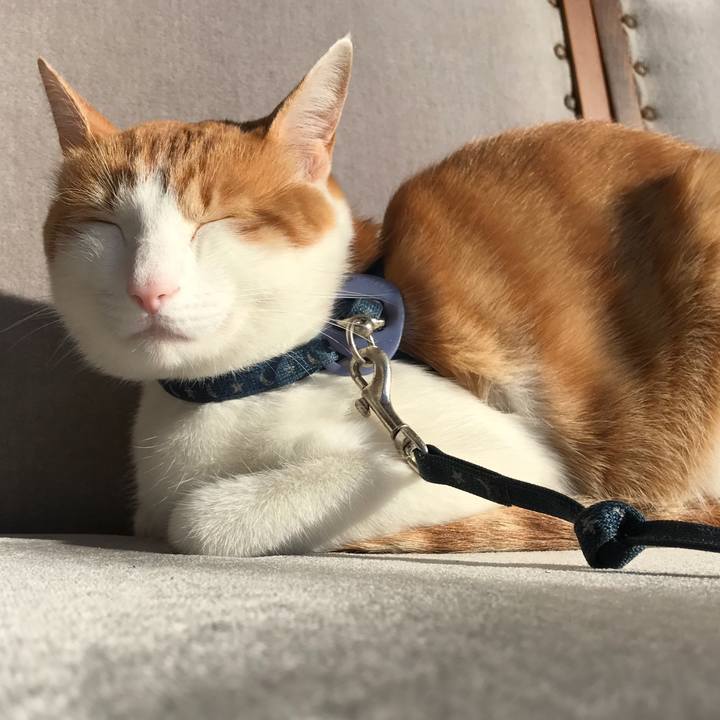 24dbefdb c728 4ef9 b0fe 01c656113ae1 1511232593344