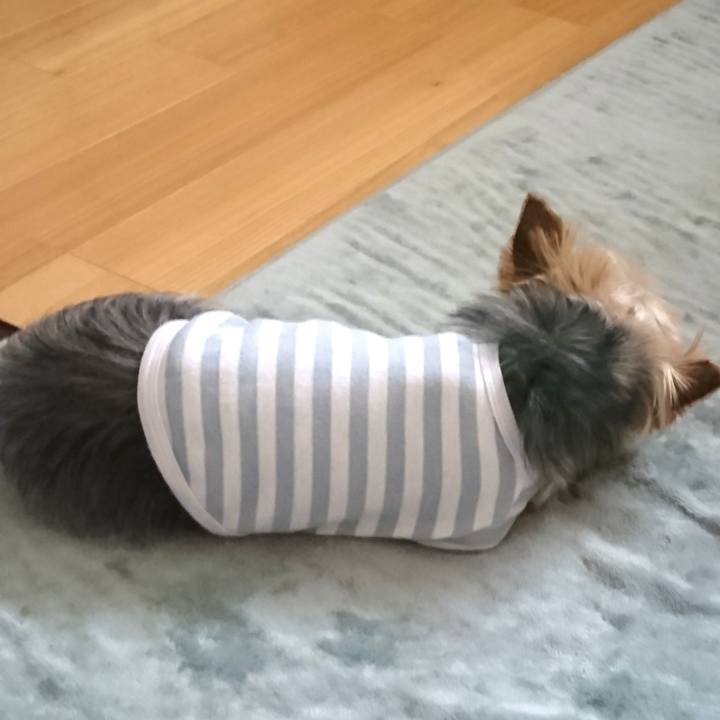 24dc04fd d7a2 443a 9d43 1f0f069121c0 1525068062828