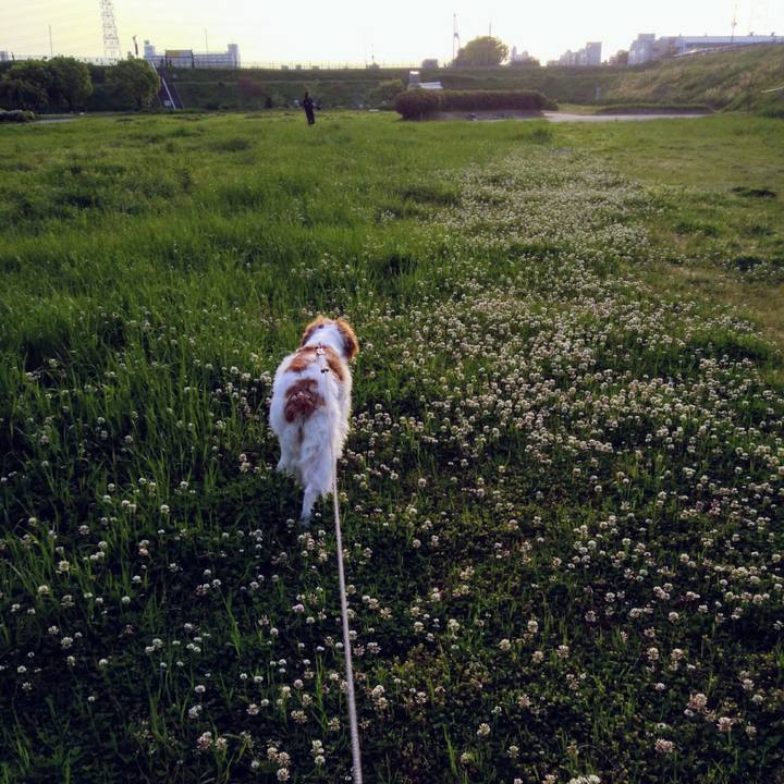 24dc17e5 73bd 4406 9a1e 13e195258397 1557056723602