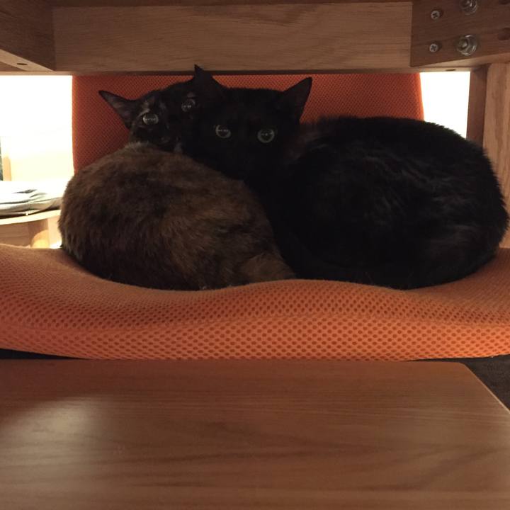 24dc43b2 275d 4417 90e7 f405a0c7ef38 1516889782725