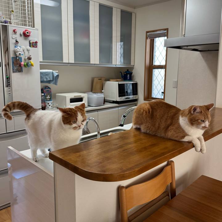 24dc6ea5 02e2 4d00 922e bde8a1906ea0 1770604869688