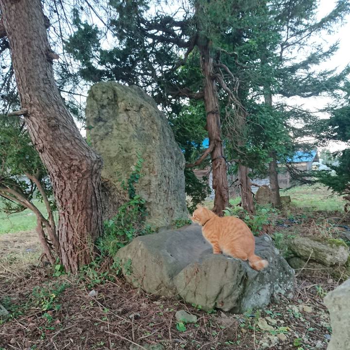 24dce272 7d2e 4f3b 974d b31acf1013bf 1662931004634