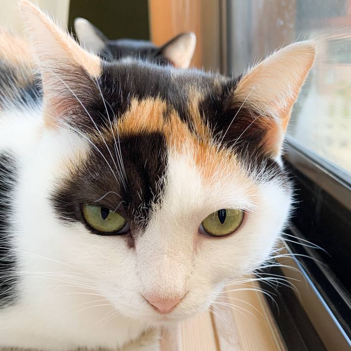 24dcf656 d6e6 4c0d 8731 db80e0947f5b 1574474843853