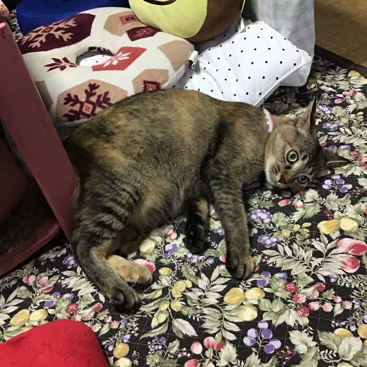 24dcff3d cce6 4c71 a51d c74df829a5c4 1593207022954