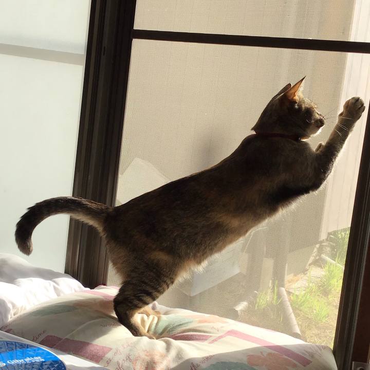 24dd04cb 323f 429a a2ff 9679e26e5963 1584834423673