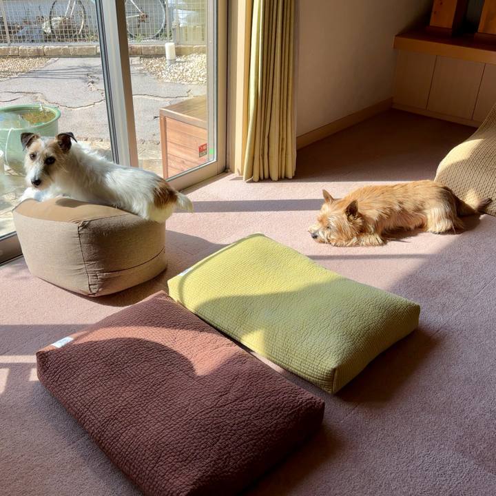 24dd1e10 aa1b 483c a5e7 d178759de6d2 1772257113797