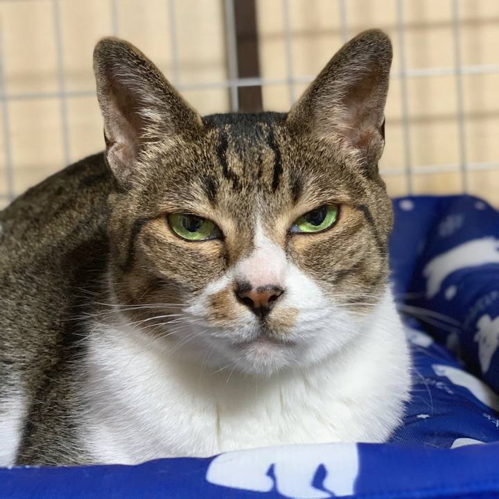 24dd386e 1389 4881 bf0d ad600579af6e 1563928489862