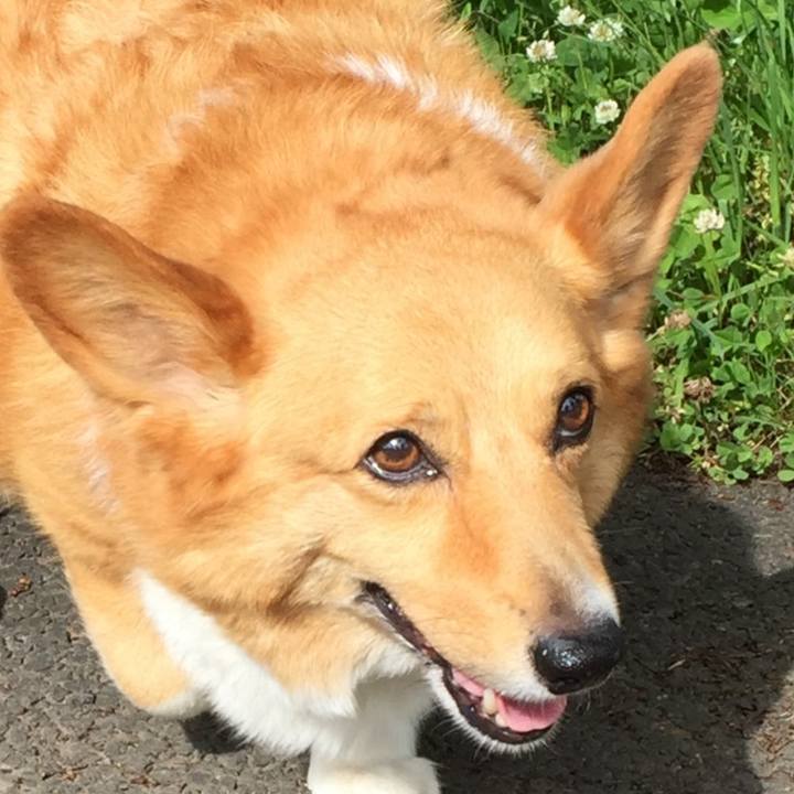 24dd3cd8 5085 4ebf b892 80ba1e451831 1597321262337