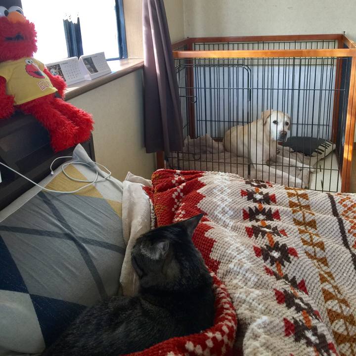 24dd55b0 0fc5 40cc ae28 dabf3bf30959 1513734592929