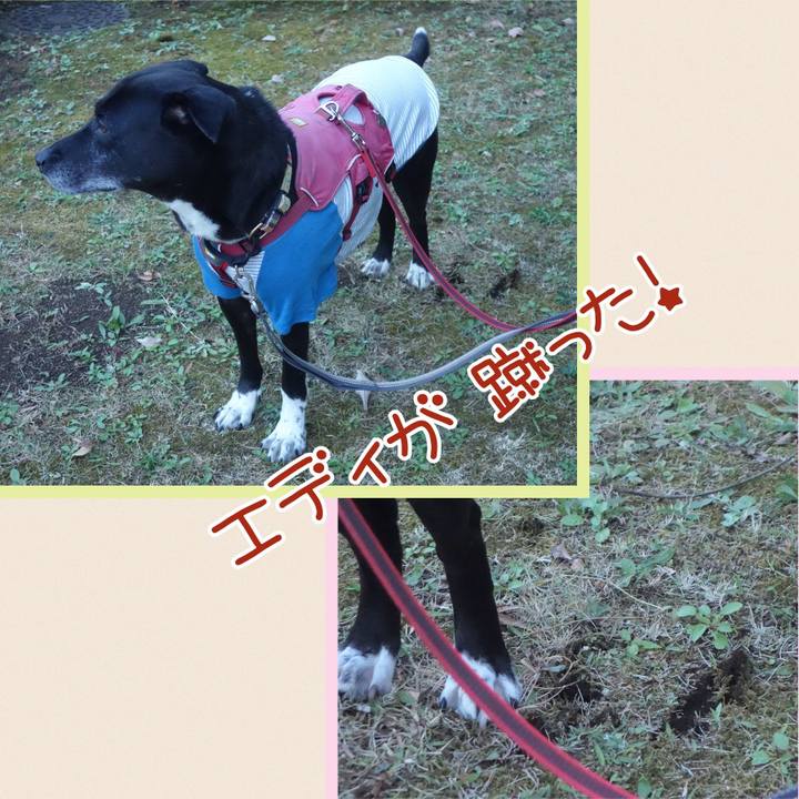 24dd5801 91b3 4b77 bbb4 feea6a99a8b8 1702774169895