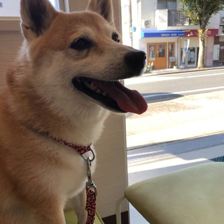 24dd6471 014f 4d60 a806 338fbe55e53b 1600864333699