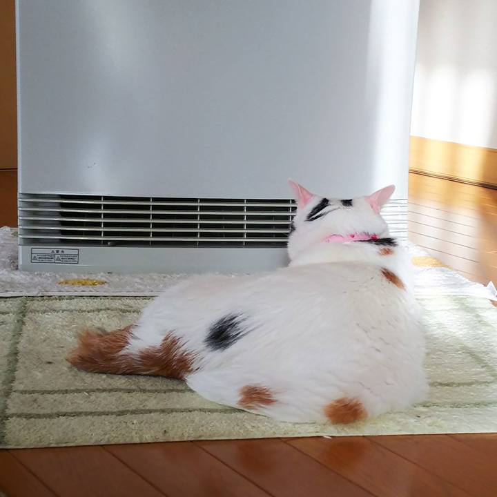 24ddc09e 6f8a 4af3 8a2c ffae870511e4 1515627774291