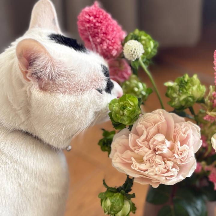 24dde434 42f6 4772 bcd5 bd010abaf1db 1763875789693