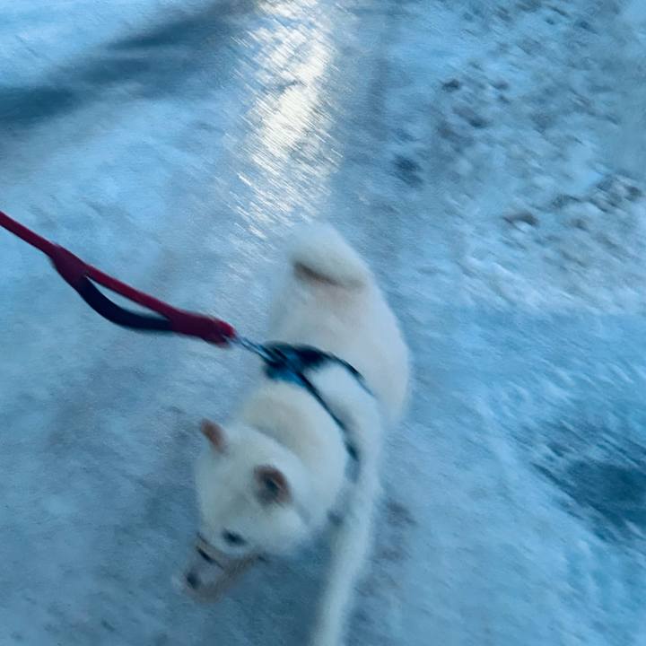 24de08c8 dd7d 496c 908a 10bf66f2afec 1737325619218