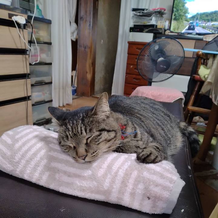 24de5dc8 3127 4a18 9319 bf08e0182ed5 1694562438106