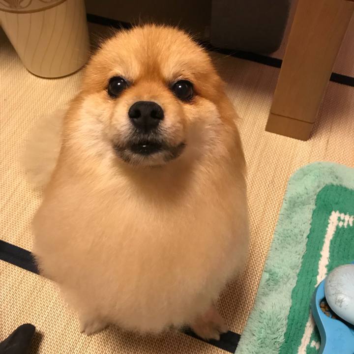 24de7186 7e7b 43ed 8168 83d361c7dbc0 1531473328461