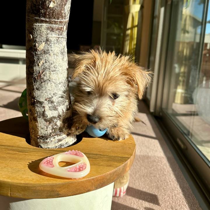 24de8102 0e66 40e8 bf89 98d7f9de3715 1702542569335