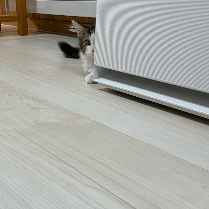 24de8cf1 826a 4026 9808 6a363ec0aaa7 1635111970908