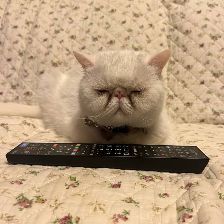 24dea31c 75d3 4b95 a80c 36c9e2547686 1746191647747