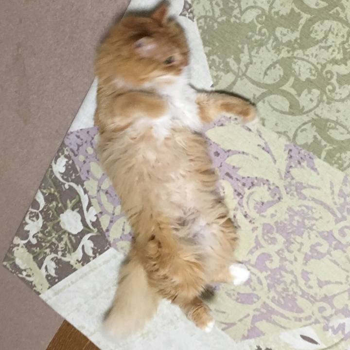 24deb088 b030 4dd1 950a d83a2cdcd3e7 1526124953195