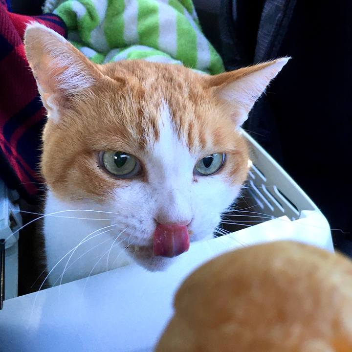 24deb114 dacc 455f 95e4 6afb9cbc232f 1571812490145