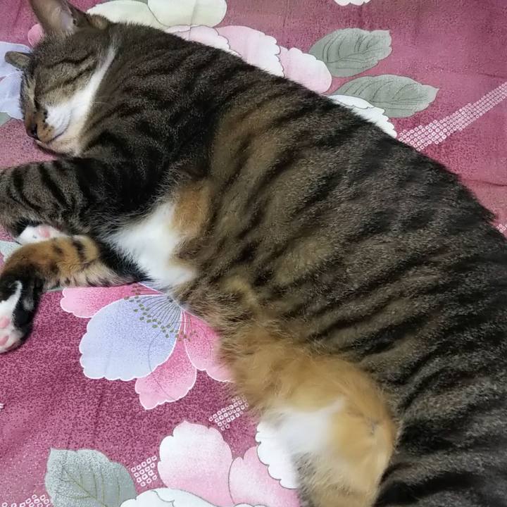 24debc37 cfc7 476a 8dab 9b5742529ac8 1625317494282