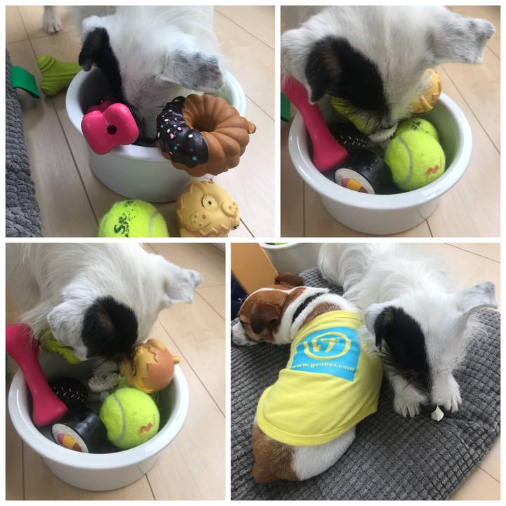 24ded20a eadb 4a18 b9ad a4157e5da248 1528697731921