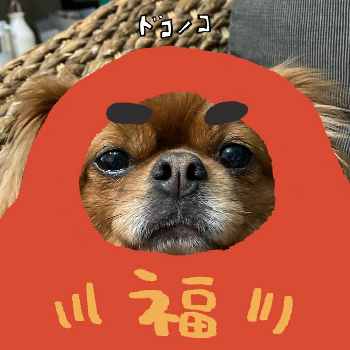 24df2e79 4746 4dee b5e8 8798f77e9ffc 1772282736062