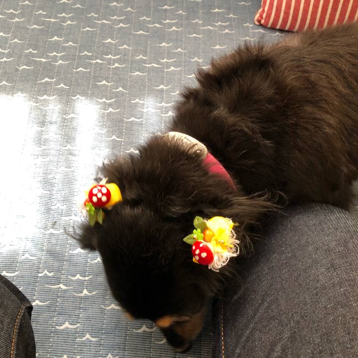 24dfb403 c183 426b 817d a9cb91030dfd 1569810915067