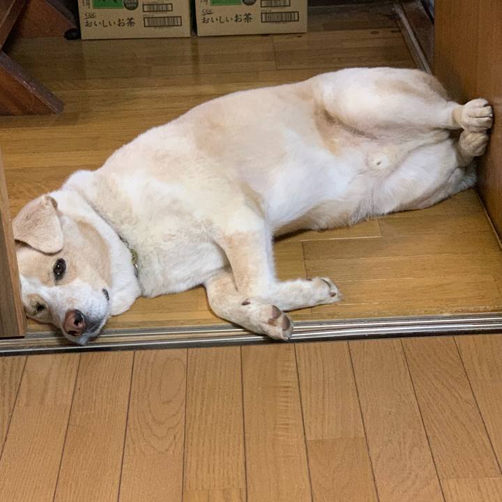 24dfd4a9 bbe0 42d9 b5ae 188d2e6281ff 1566944611391