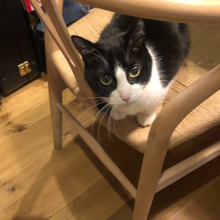 24dffc1c b4ca 4529 a462 e64ca7236186 1586072713659