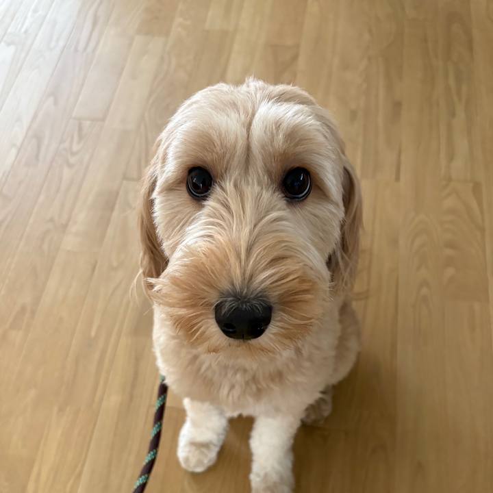 24e00c4c 9de5 46aa b1a5 e28156fa5161 1750899128236