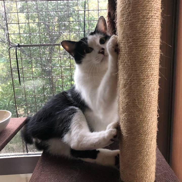 24e0214b 9180 443a 92e9 4fb18081d3d6 1571971495098