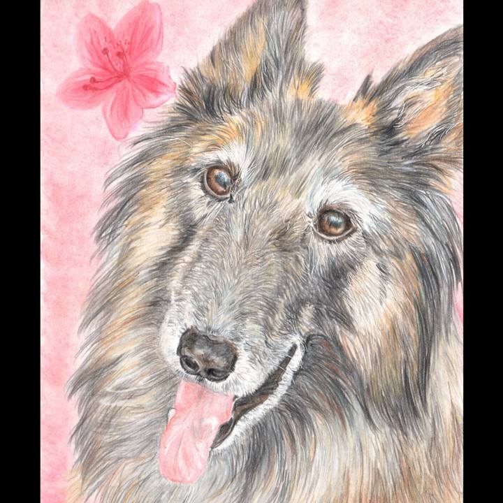 24e02f75 416d 4967 9982 62dae5a570cd 1651352116563