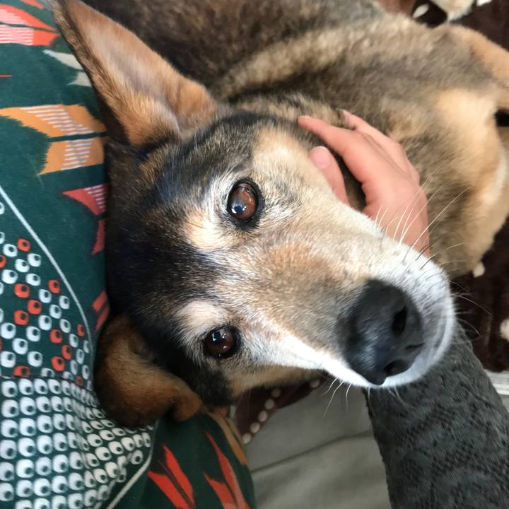 24e0592d bcab 434f 9f77 69f2972b5a66 1518593015945