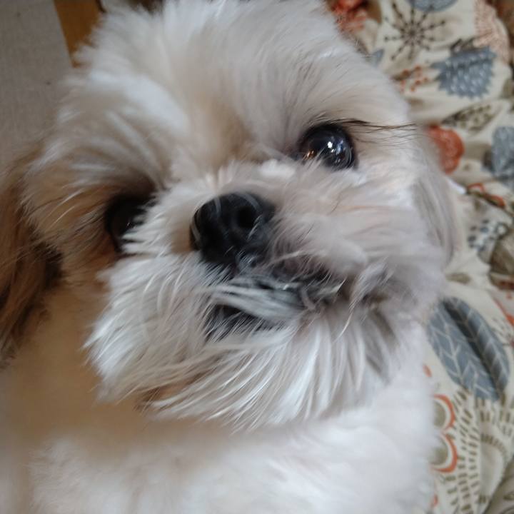 24e06956 d963 488a a7f3 96f0cac5fb32 1658901029487