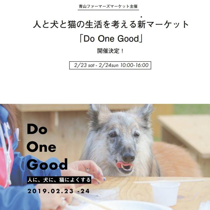 24e0789b 1d5f 448a 9f37 0616450c5f9a 1549872725830