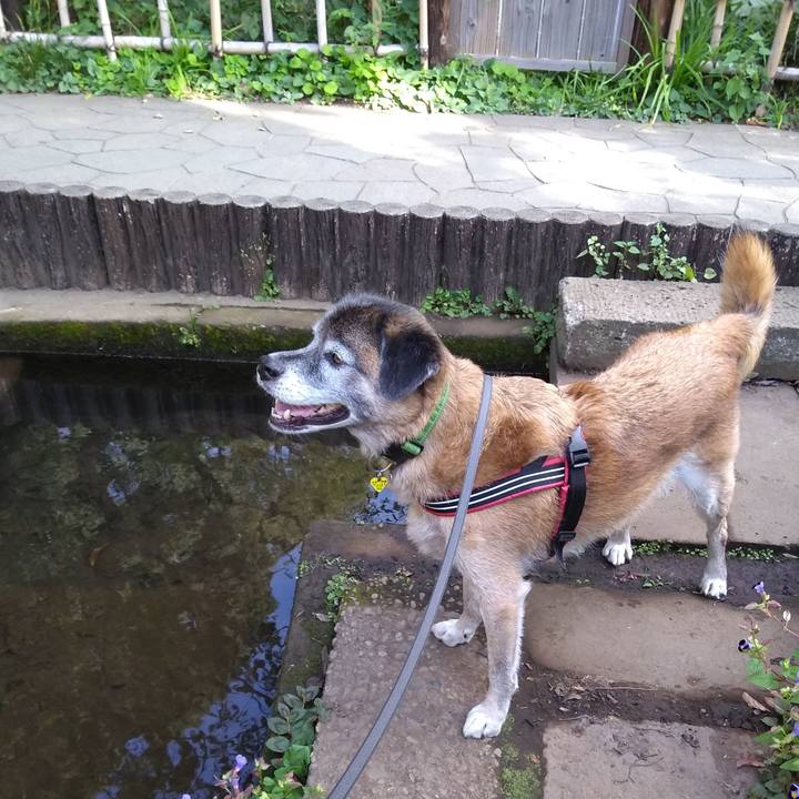 24e07ab1 bf4e 4e95 861e 41cc58565559 1569888342500